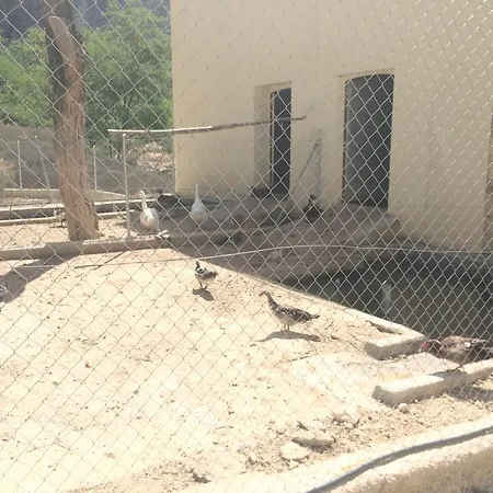 La Trucha